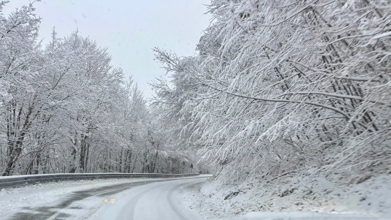 DAMA BIANCA IMMACOLATA 2024 - ORE 9 - NEVE Appennino Tosco Emiliano ❄️