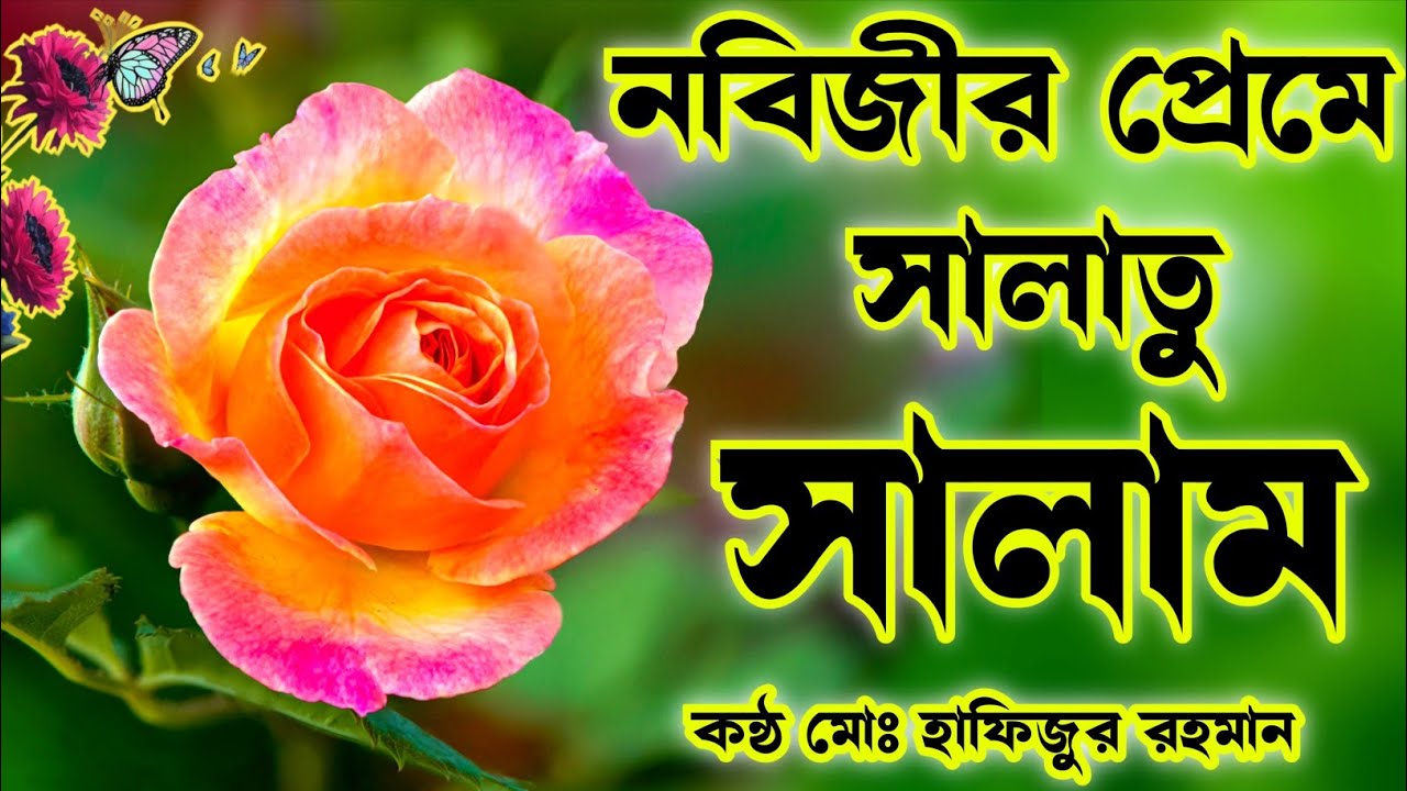নবীর আশেকান নবীর রৌজায় সালাম পাঠান ইয়া নাবি সালাম আলাইকা মধুর কন্ঠে সালাতু সালাম শুনুন ভালো লাগবে 