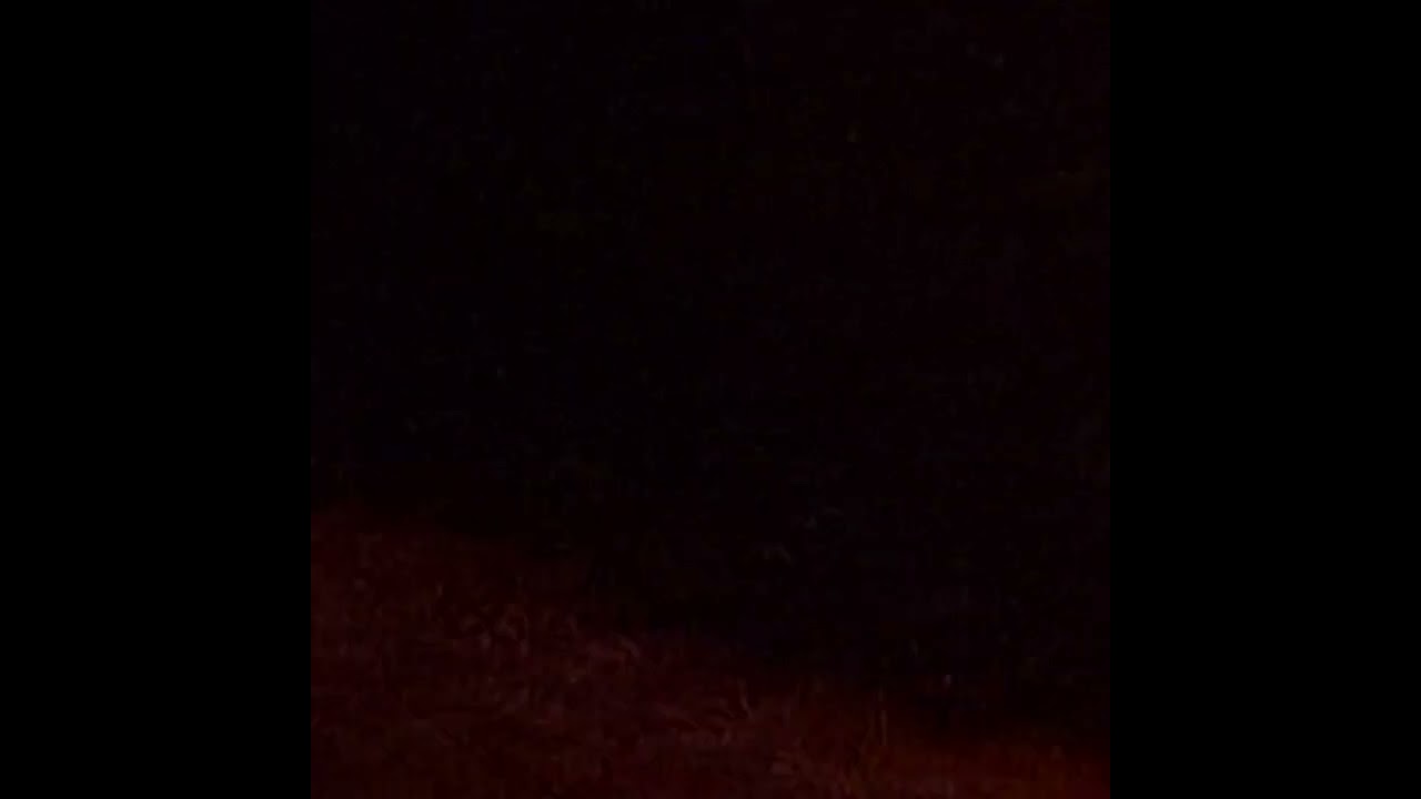 Sasha Sub Club Nov 13th 2022 only audio- part 1