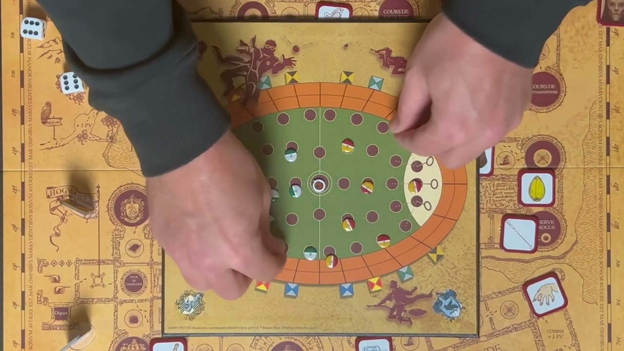 Règles du jeu - Harry Potter, une année à Poudlard