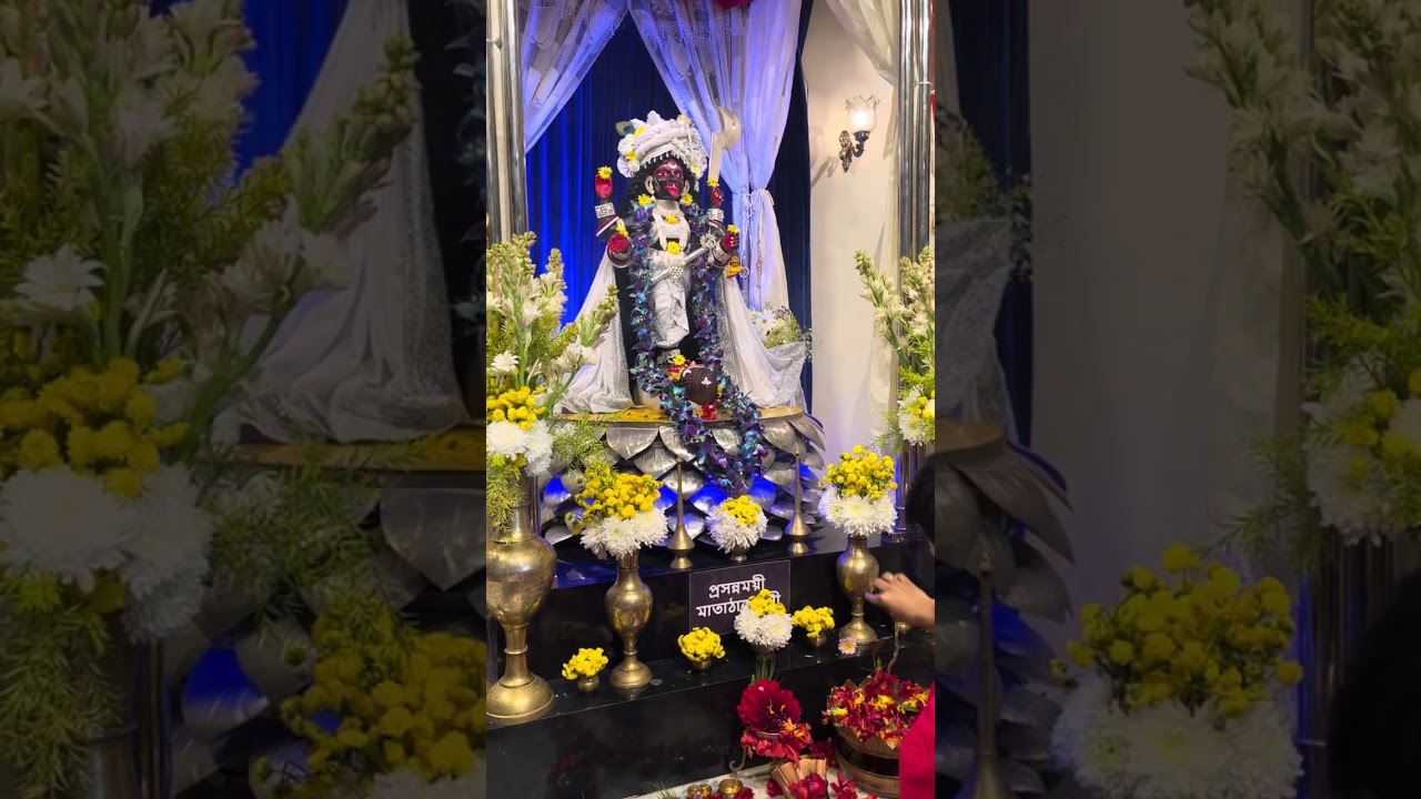 রটন্তী কালীপুজোর রাত্র প্রসন্নময়ীর বিশেষ পুজোর কিছু মুহূর্ত রইলো আজকের ভিডিওতে ☺️   #prasannamoyee 