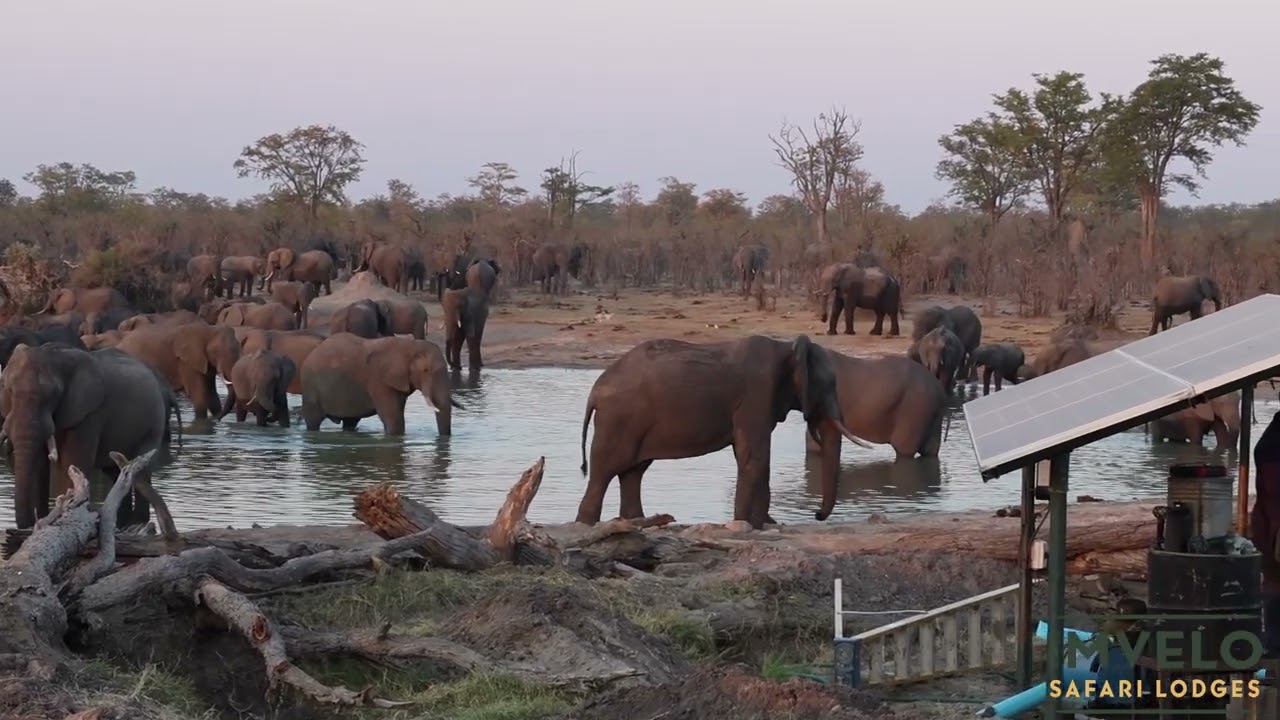 2024 Pumping water for wildlife during the drought