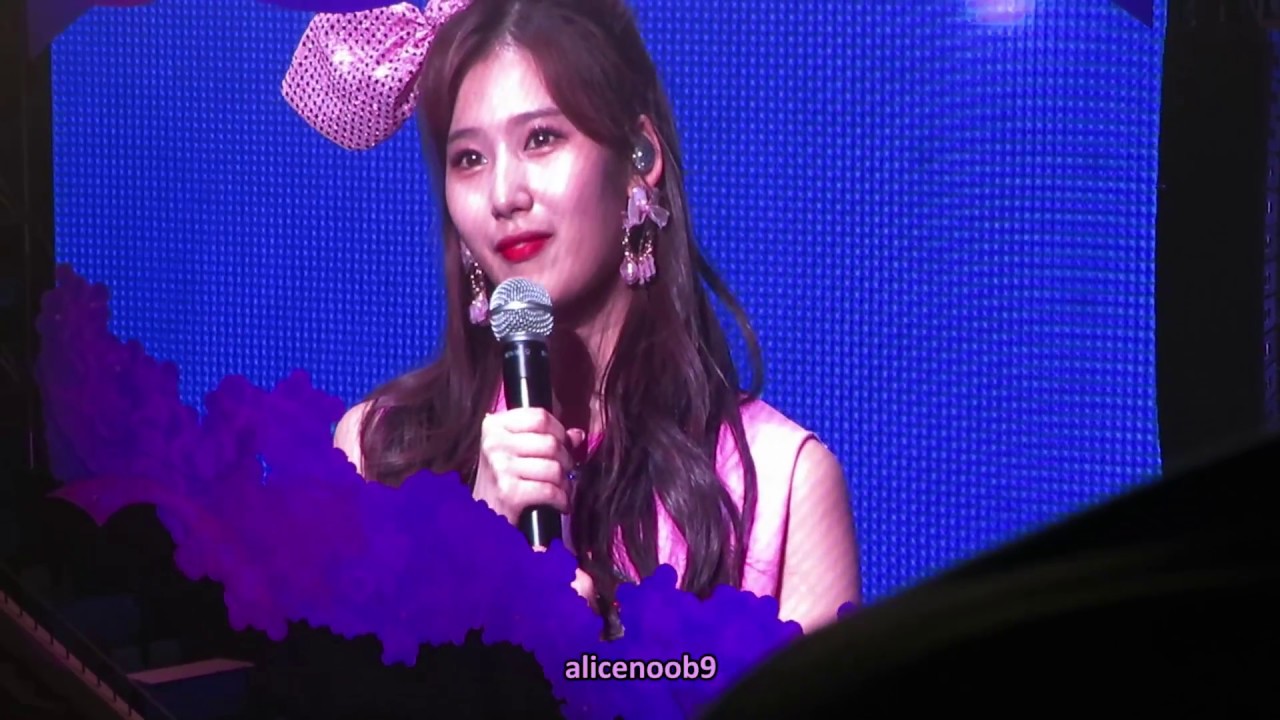 180520 TWICELAND Fantasy Park in Seoul Day 3 - Ending Ment