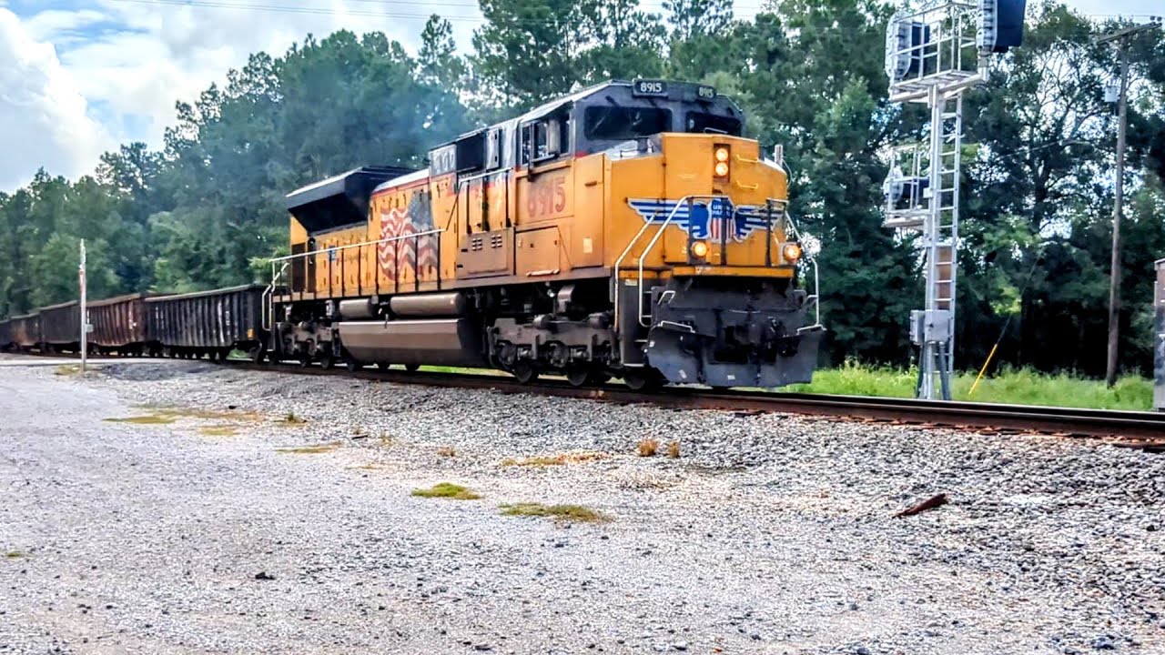UP8915 Leads a WB Manifest (2024) 