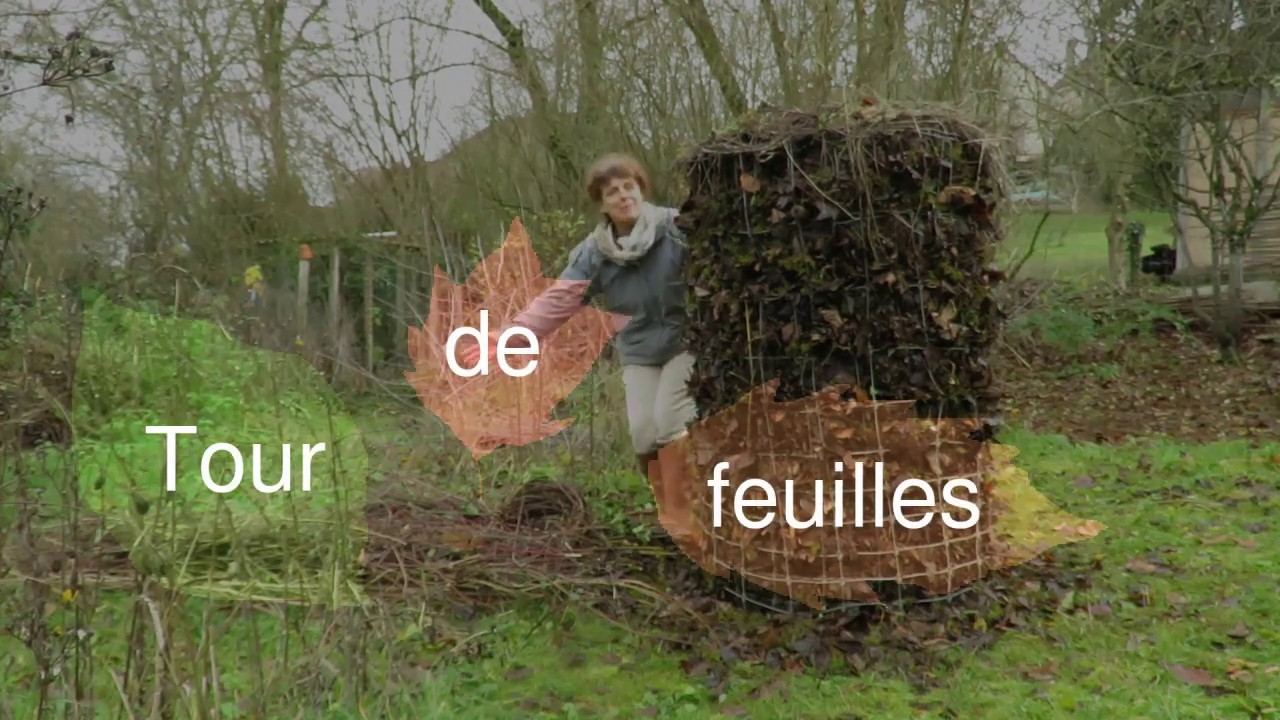 Tour de feuilles : C'est de l'or !