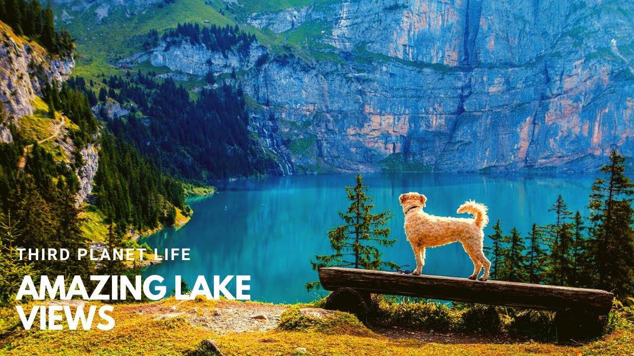 Amazing lake views | drone shots | Ambient sounds | relaxing music