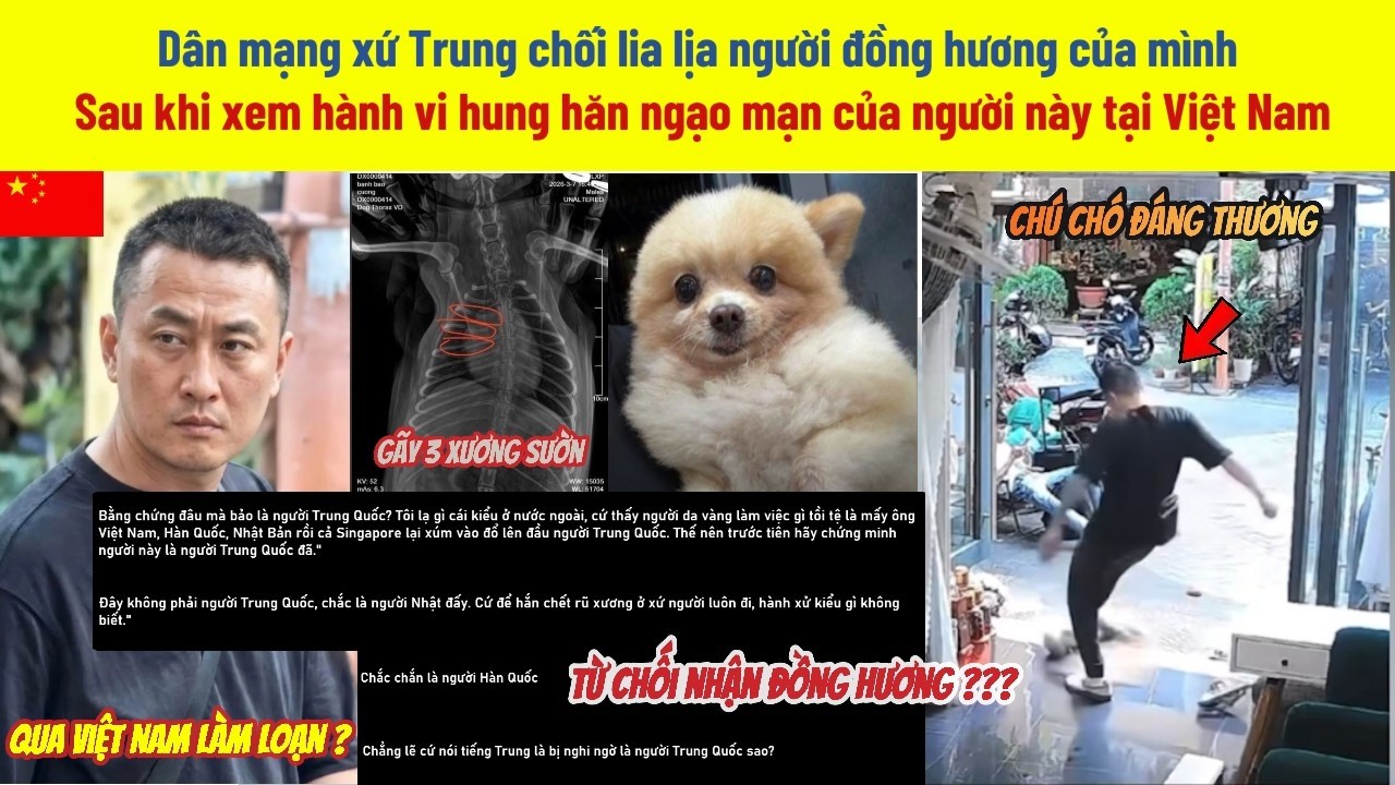 DM Trung Quốc 