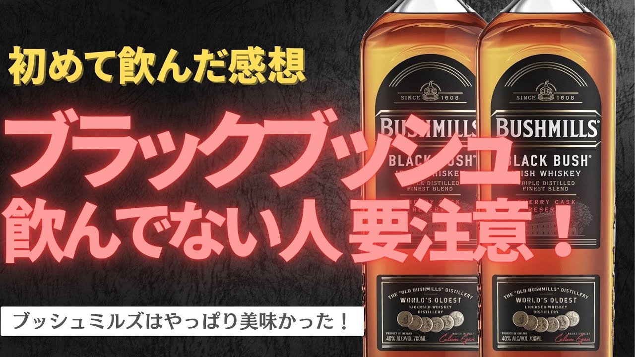 【超納得】ブラックブッシュが人気あるのはうなづける！  #ブッシュミルズ #アイリッシュウイスキー