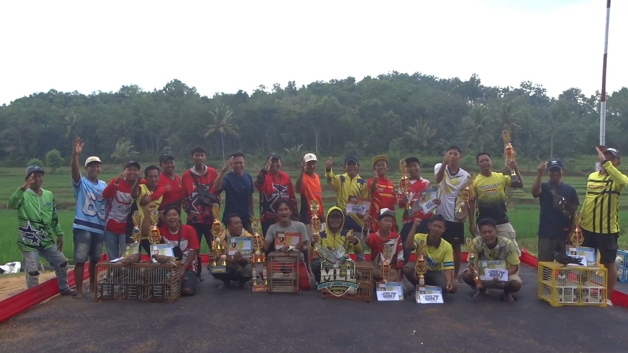Lomba merpati kolongan Bharata Cup 3, Lapak KMC, Hadiah 10 Juta