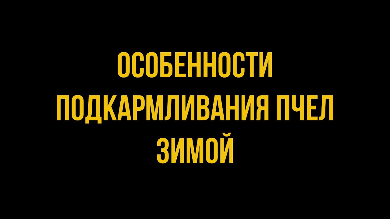 Казалось бы, всё так просто — положи лепёшку канди, — ан нет! — 