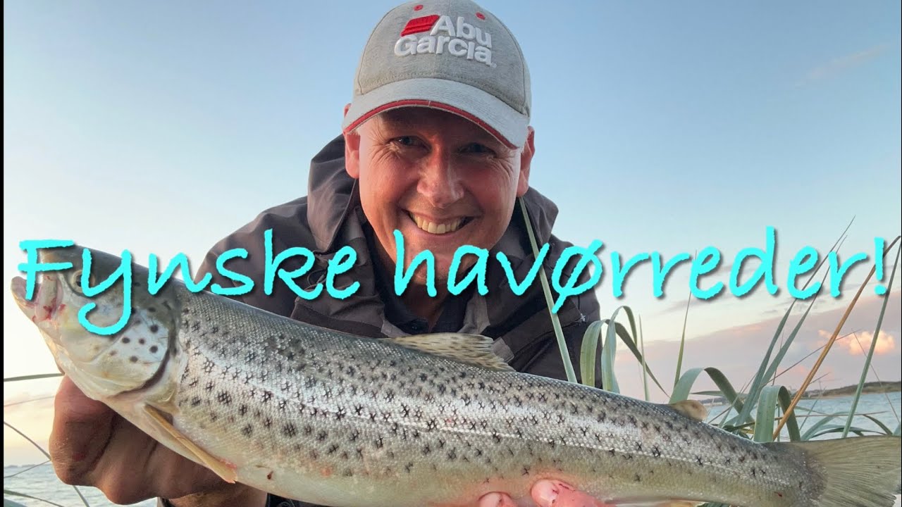 Fynske havørreder! 