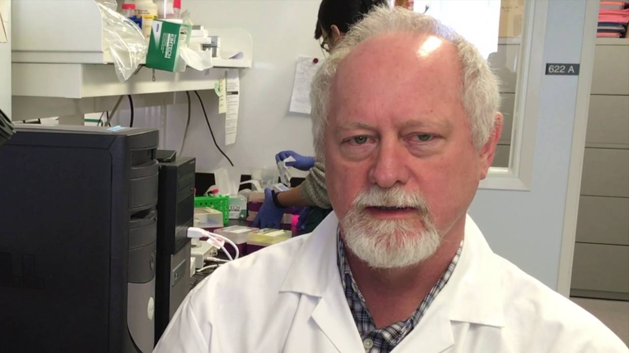 Gene mutations shown to cause form of HSP