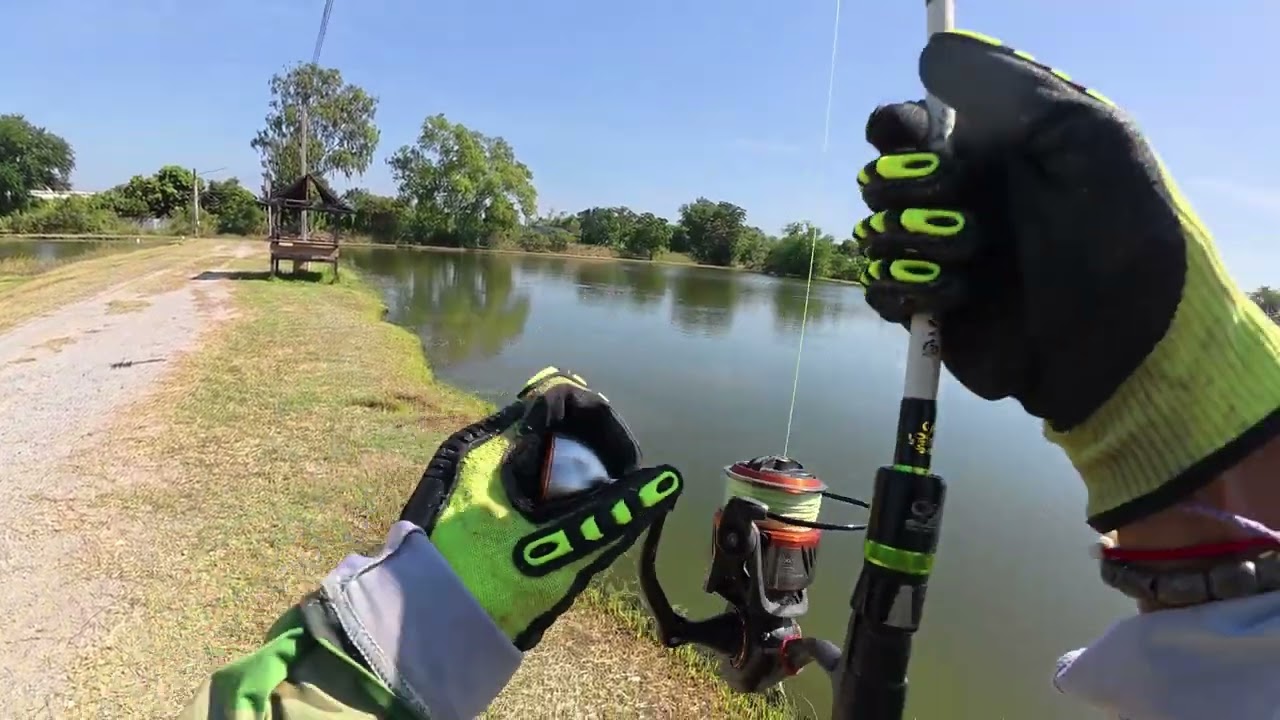 4th Mekong Cat