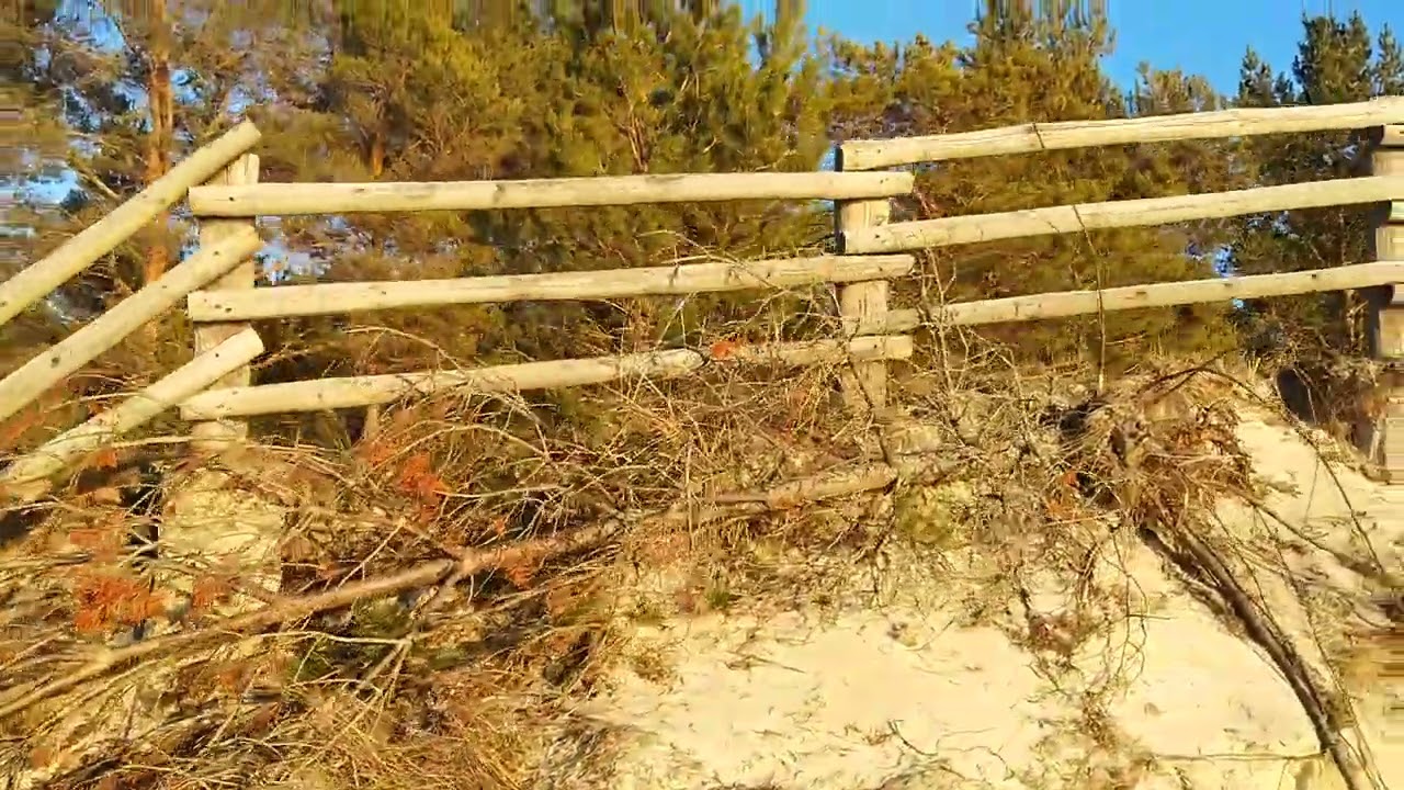 Peaceful stroll on Kloogaranna beacharea, Estonia 2022