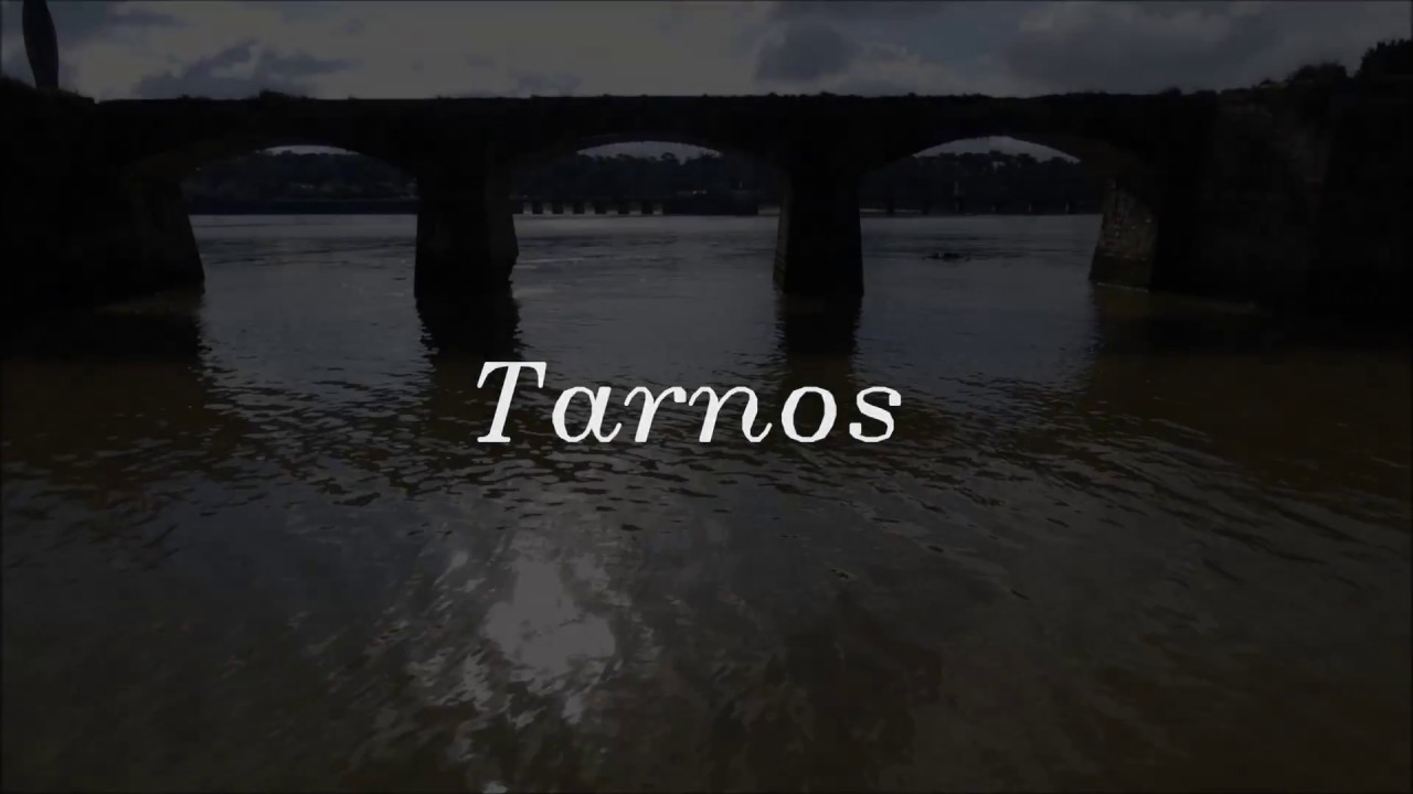 Le barbara (digue tarnos)