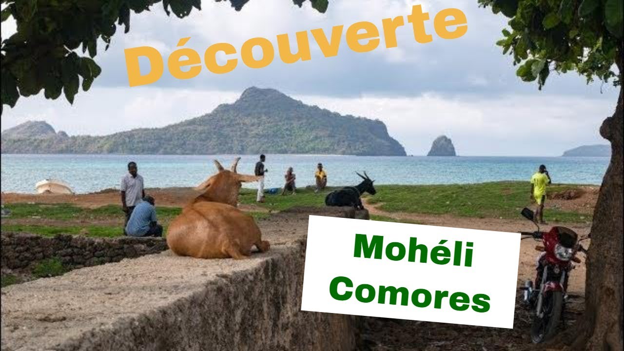 Découverte de Mohéli : joyau des Comores