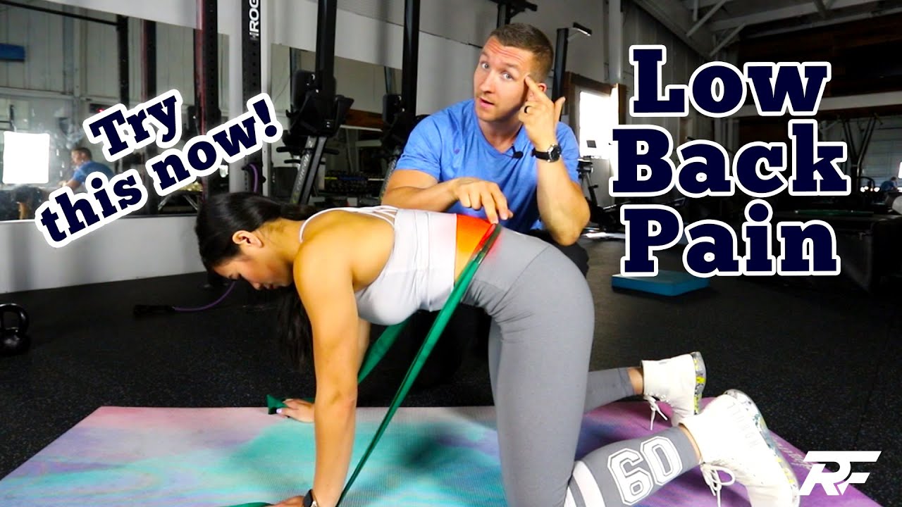 Cat Cow for Low Back Mobility | Low Back Pain Exercises