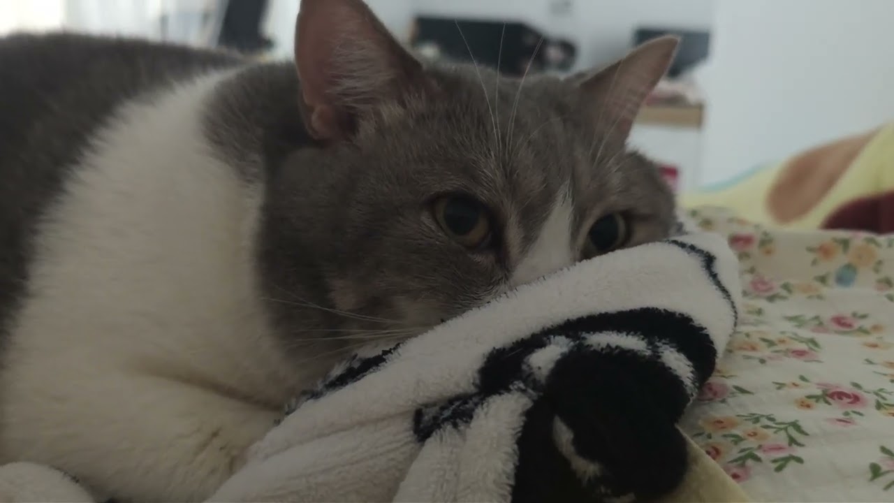 Mommy’s cooking tastes the best~ I love it so much