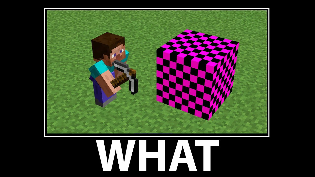 WAIT WHAT - Minecraft #18