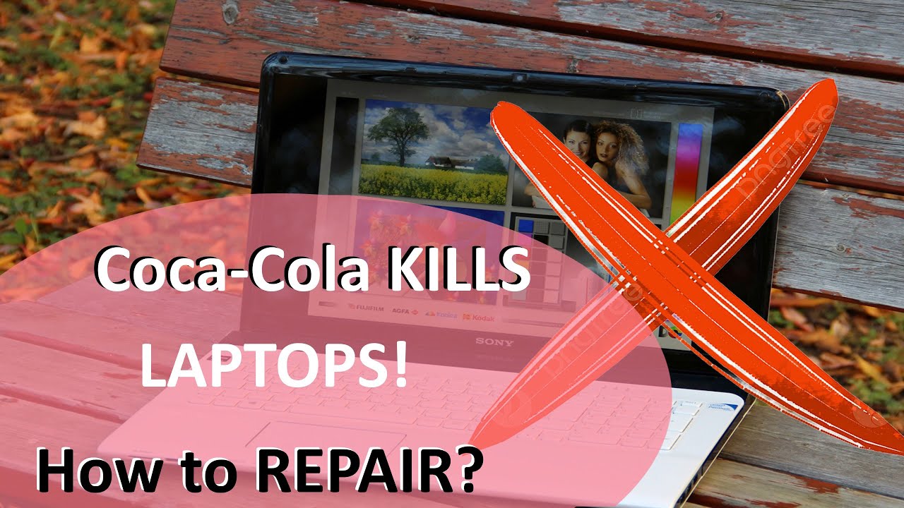 Sony Vaio SVE17 won't start and doesn't charge. Please, don't drink Coca-Cola when you are working!