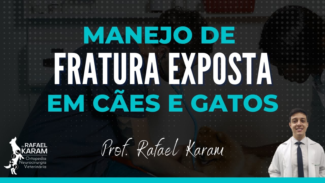 Aula - Fratura Exposta em Cães e Gatos