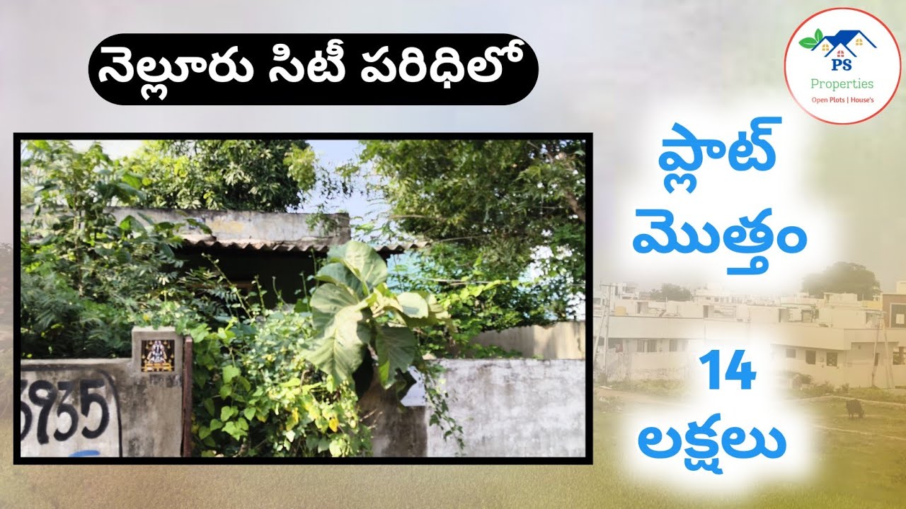 ప్లాట్ మొత్తం 14 లక్షలు 😱మాత్రమే//Low budget plots sale in Nellore// PS Properties #trendingshorts 