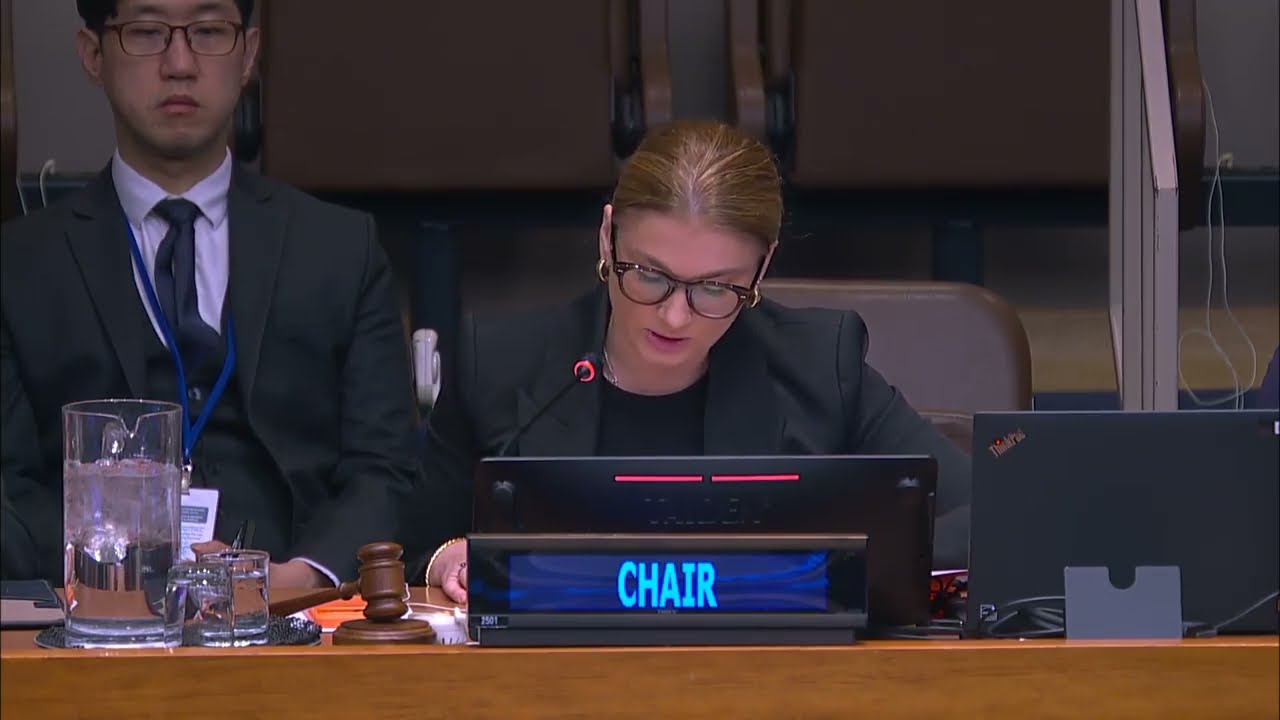 Opening, 2nd plenary meeting - 64th Session of the Commission for Social Development (CSocD64)