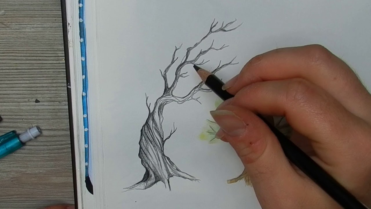 comment dessiner un arbre