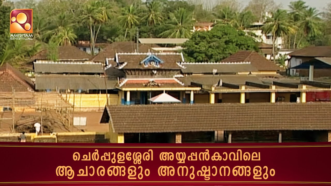 Rituals and Traditions of Cherpulassery Ayyappan Kavu  | #cherppulassery #ayyappanakavu