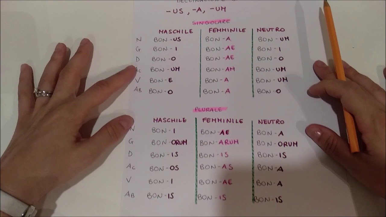 Lezione 12 - gli aggettivi della prima classe