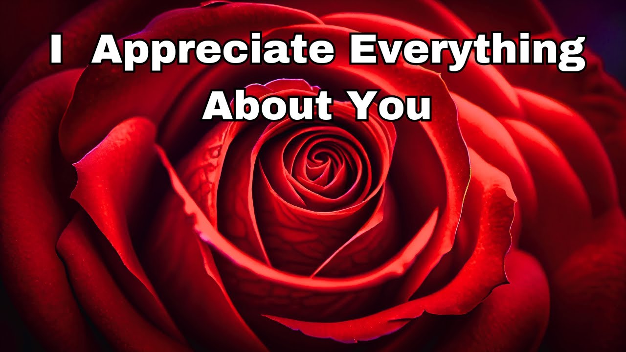 For You, My Love❤️(Love Message Of Appreciation)