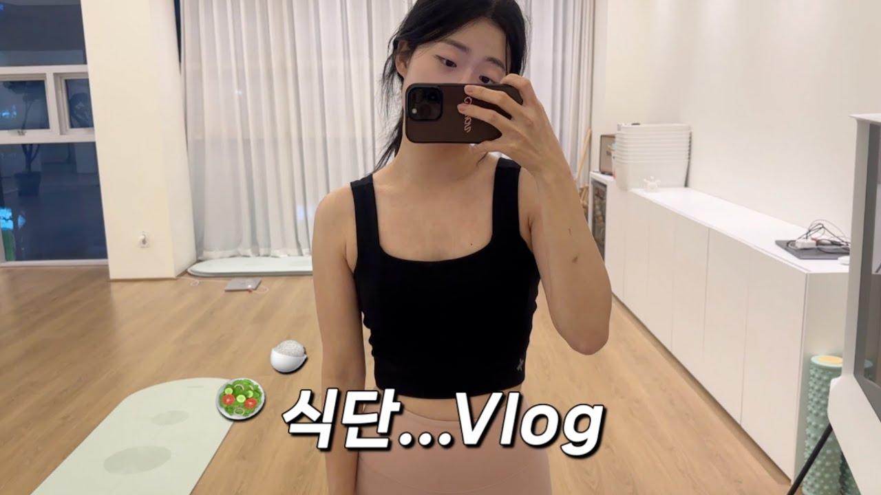 Vlog. 식단을 해보자...! ㅣ다이어트ㅣ니아르 쉐이킷ㅣ프리랜서