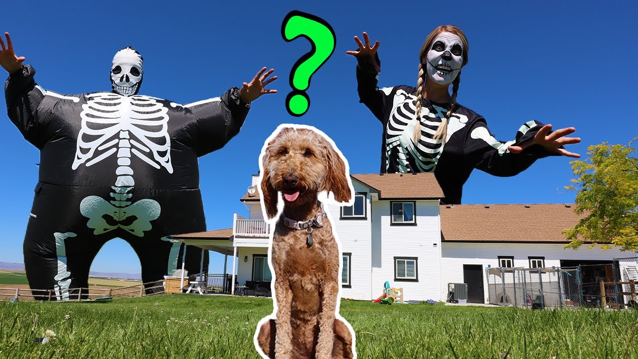 Skeletons Surprise Puppy With GIANT Dance Party!