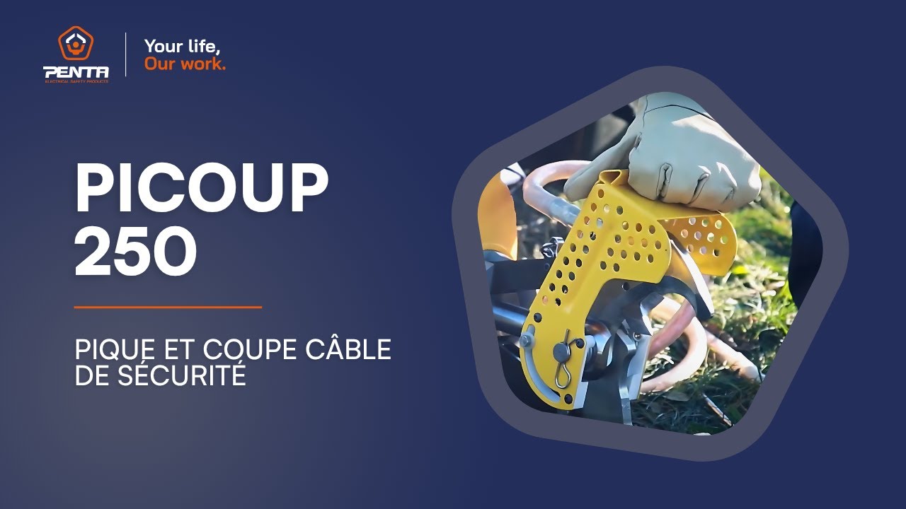 FR - PICOUP 250
