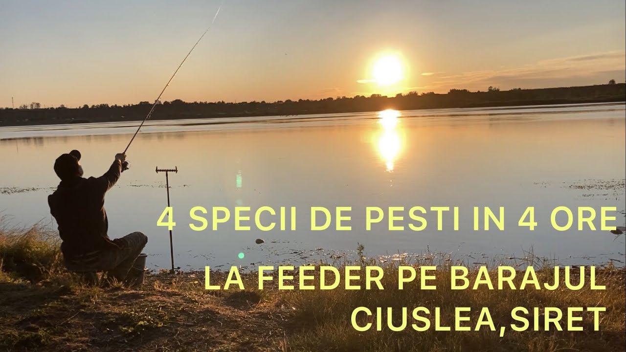 Pescuit la feeder pe barajul Ciuslea,Siret @VV Feeder Fishing