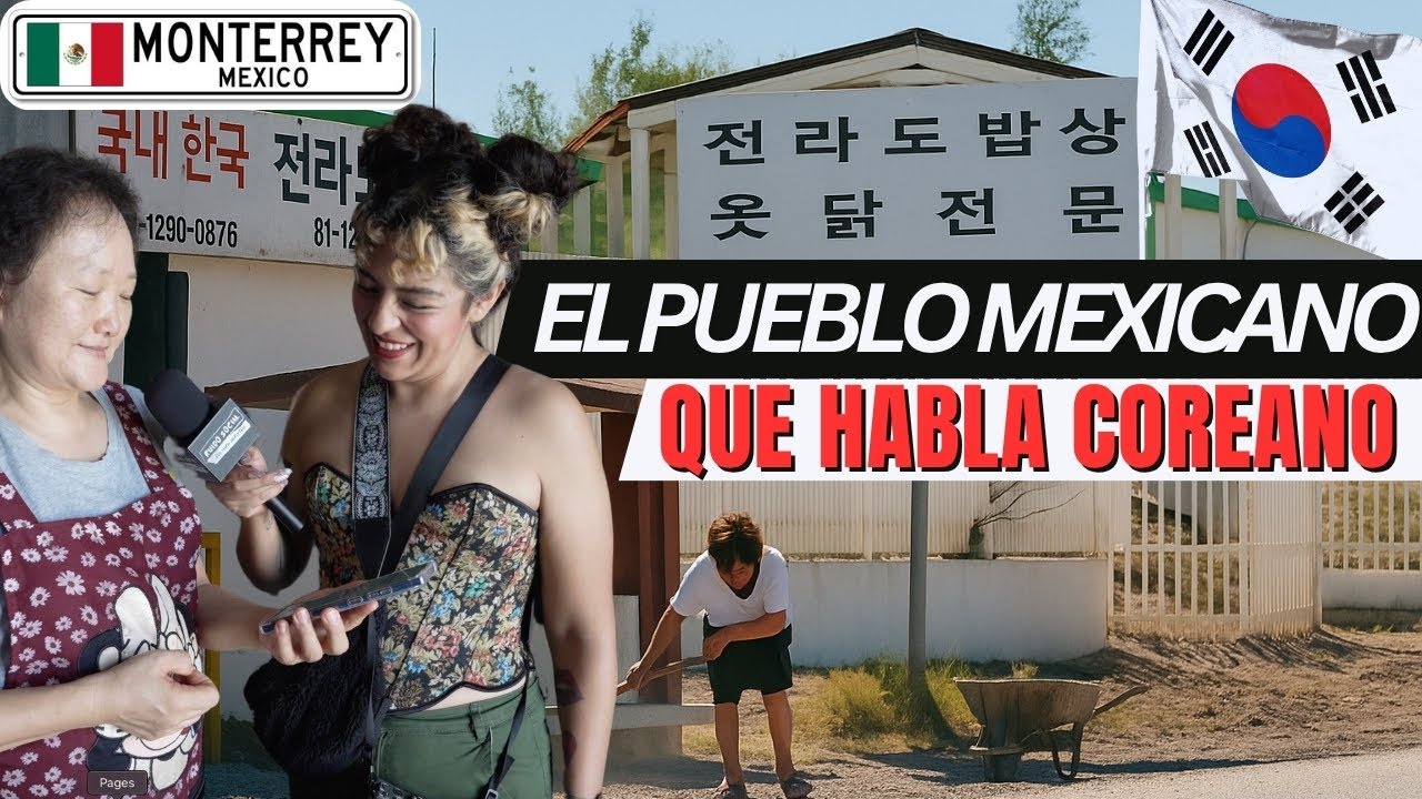 MILES de COREANOS VIVEN en MEXICO - Ruido Social