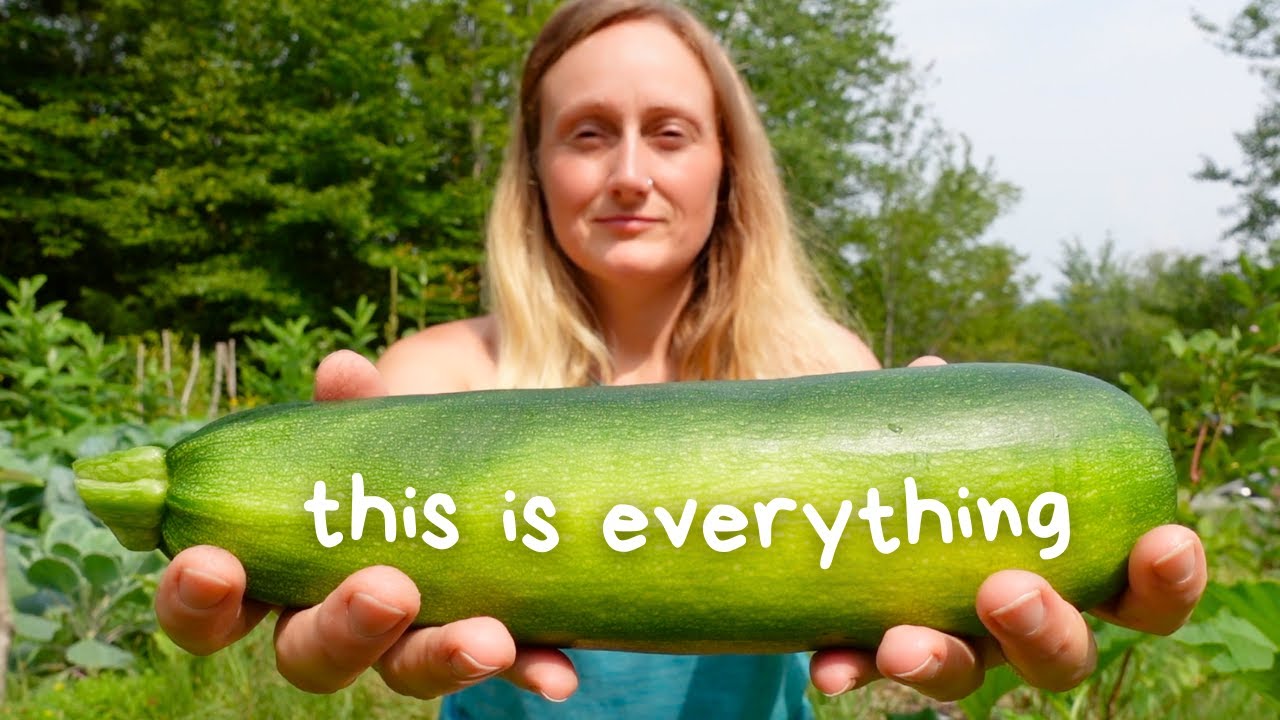 The financial power of a humble zucchini - my chapter of 