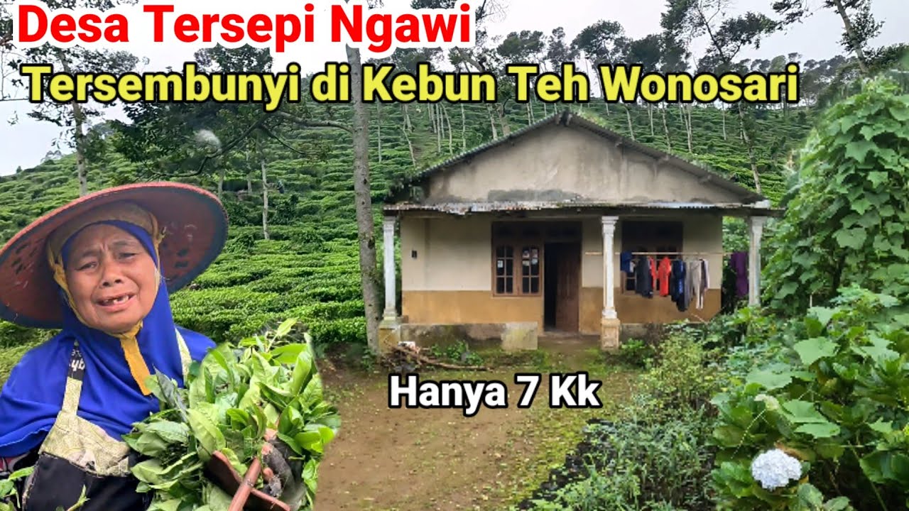 kehidupan 7 Rumah di Desa Terpencil  Kebun Teh Gunung Lawu Ngawi