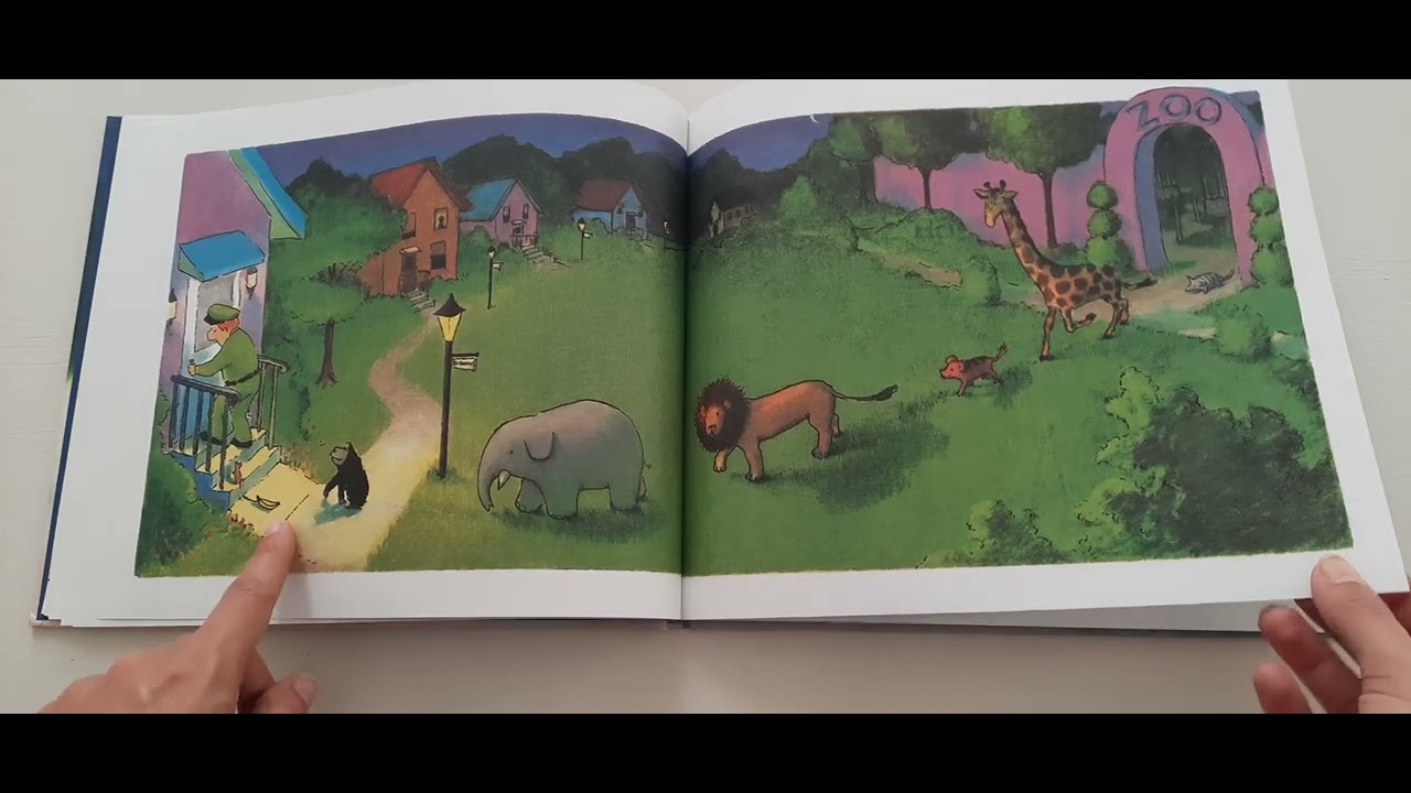 Audiolibro - Buonanotte Gorilla!!