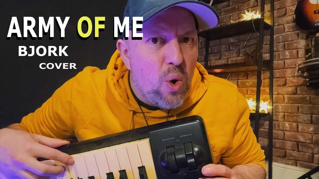 Bjork - Army of Me ( cover )