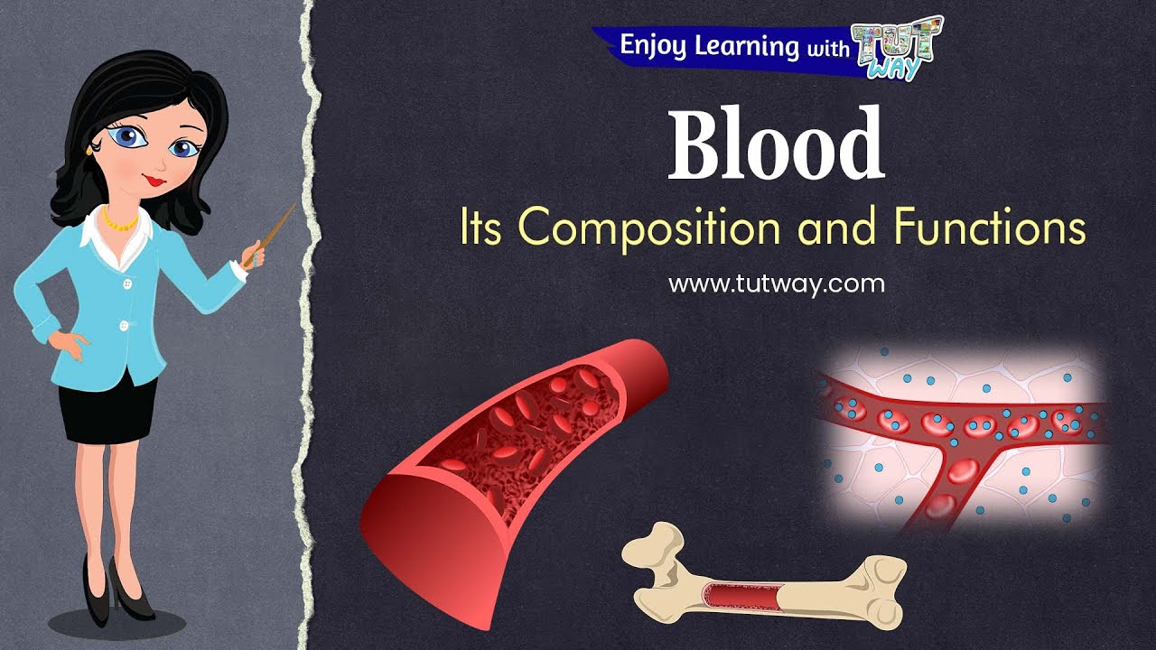 Human Blood | RBC | WBC | Platelets in Detail | Blood Composition & Functions | Plasma | Science