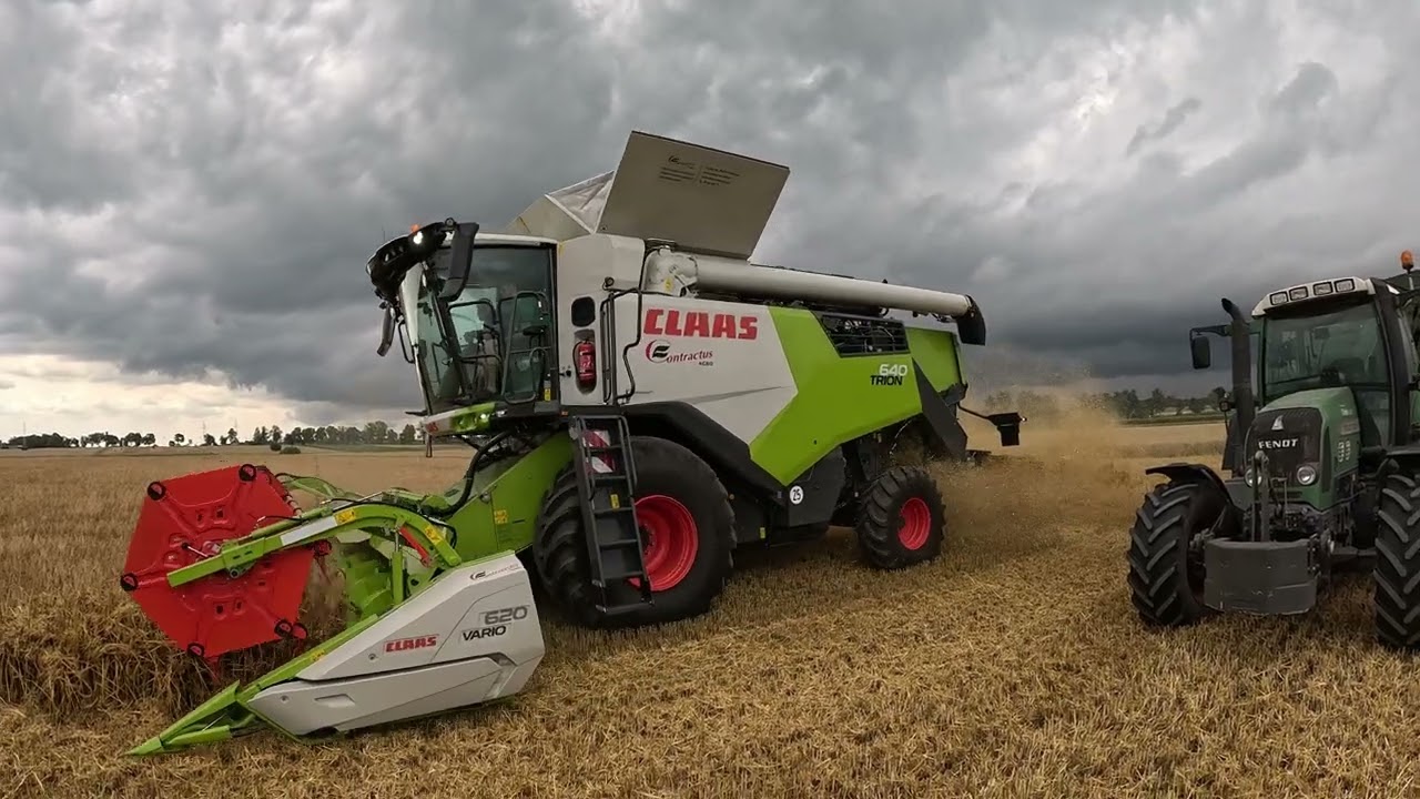 Małe żniwa 2024 czas start ❕Wielki powrót deszczu 🌧️