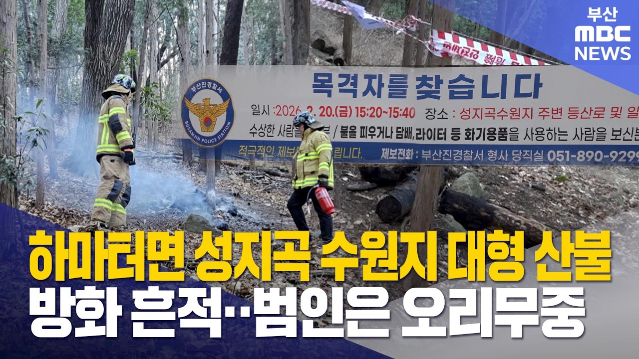 성지곡 수원지 산불 '방화' 추정..범인은 오리무중 (2026-02-26,목/뉴스데스크/부산MBC)