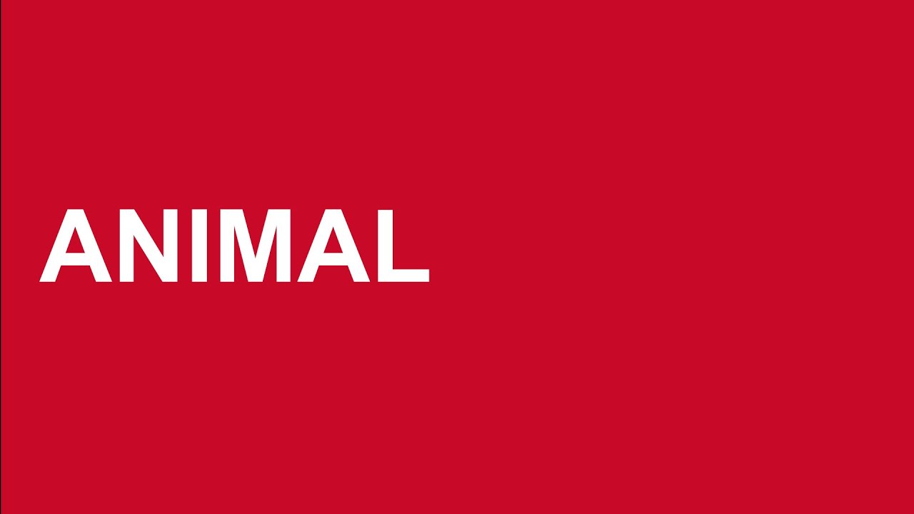 ANIMAL, Michel Pastoureau (ABC Penser)