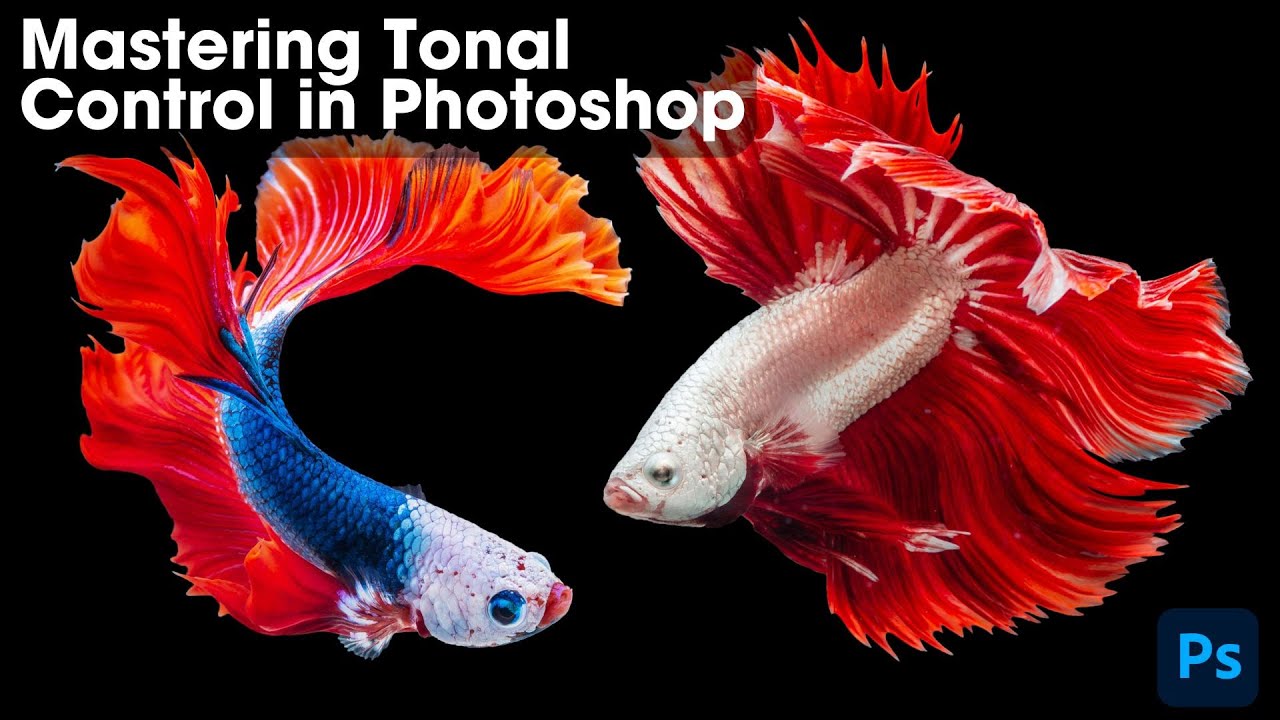 Mastering Tonal Control In Photoshop