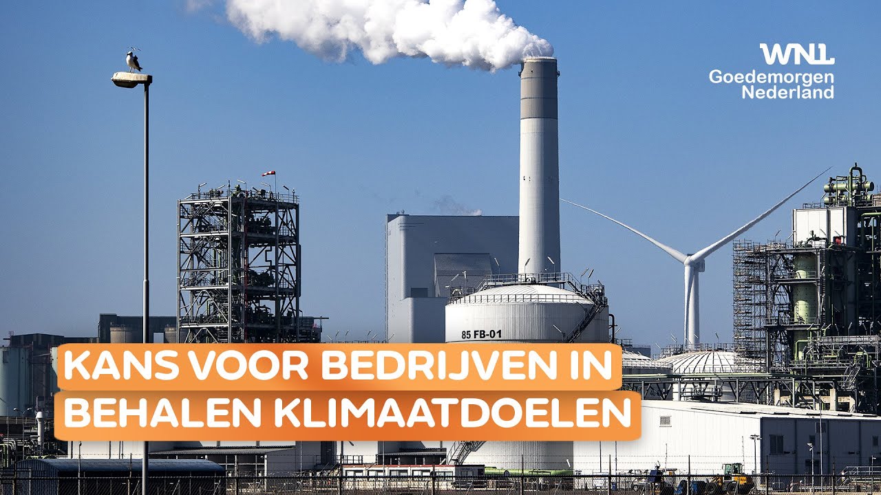 Grote rol weggelegd voor bedrijven in behalen klimaatdoelen: 'Er kan een nieuwe industrie ontstaan'