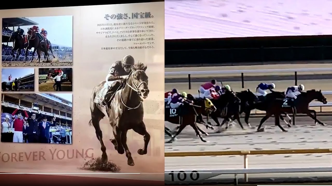 フォーエバーヤング ブリーダーズカップクラシック優勝記念展示＆根岸ステークスGⅢ 5R新馬 9R 10R 東京競馬場 2026/02/01