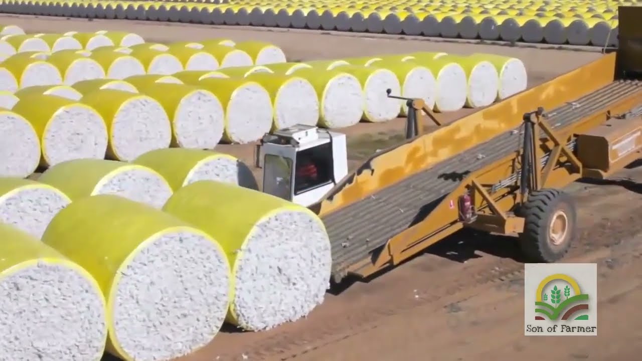 The Incredible Journey of Cotton: From Field to Fabric