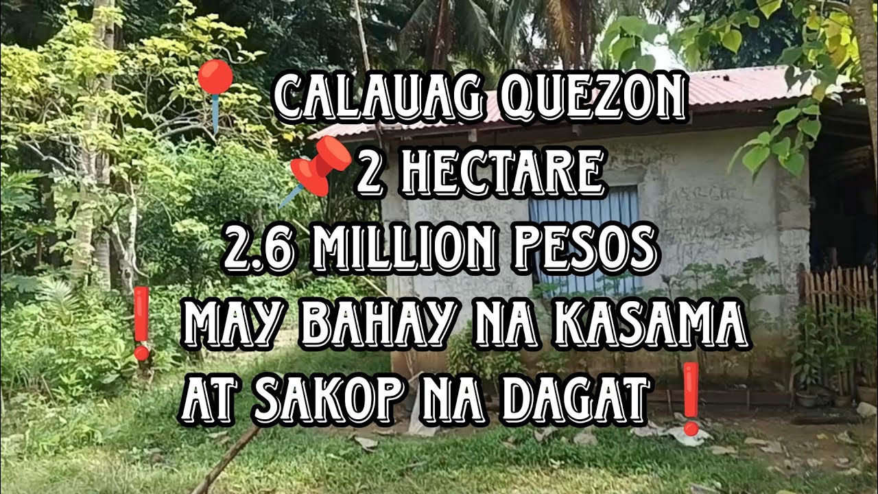 VLOG # 12: ❗FARMLOT FOR SALE❗CALAUAG QUEZON/ 2 HECTARE/ SULIT SA PROPERTY. READ DESCRIPTION BELOW 👇