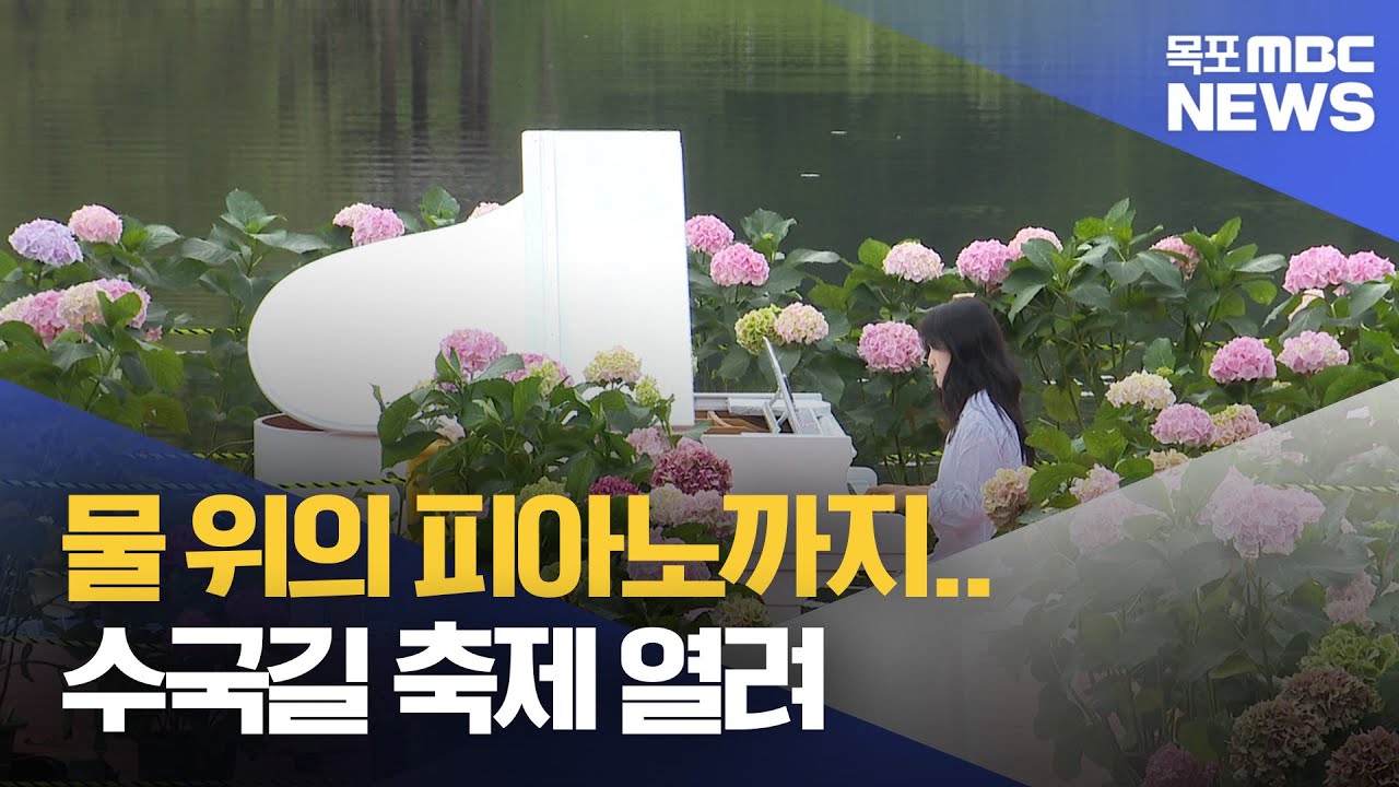 꽃송이 선물에 물 위의 피아노까지..수국길 축제[목포MBC 뉴스데스크]